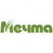 Мечта (Россия)