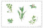 Салфетка под горячее Herbarium Nuova R2S (Италия), фарфор